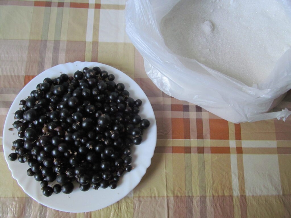 Gem de coacaza negra poza 2