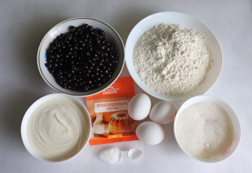 Prajitura cu coacaze negre ingrediente