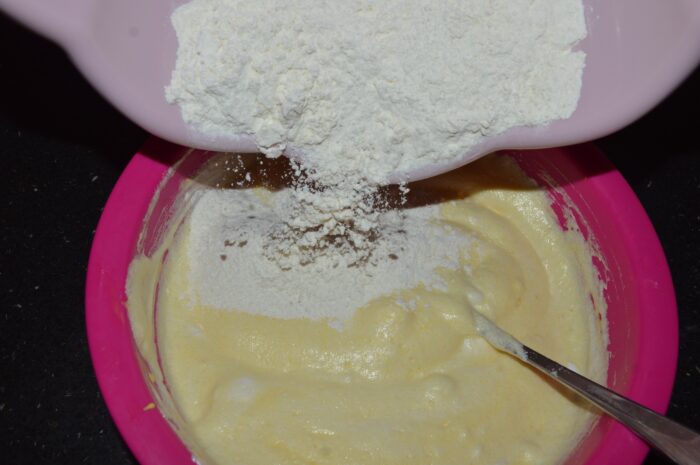 Turnati faina